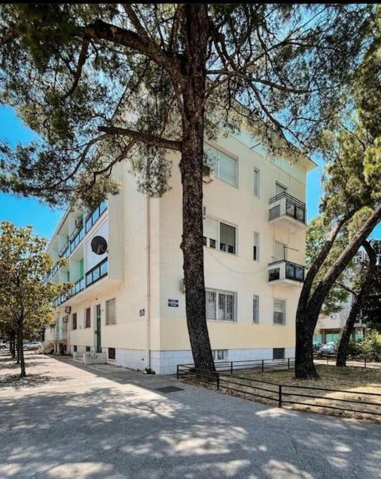Apartment Music-Center, In The Center Of Podgorica Exterior foto